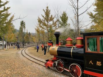 上海周边赏秋2日自驾游：安徽绩溪赏十里银杏长廊-邂逅皖浙天路的醉美秋色2日自驾游