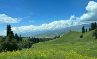 乌鲁木齐集合北疆伊犁环线11日自驾游：北疆布尔津-喀纳斯-禾木-世界魔鬼城-伊犁赛里木湖-那拉提-吐-推荐