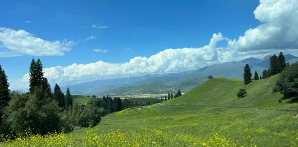 乌鲁木齐集合北疆伊犁环线11日自驾游：北疆布尔津-喀纳斯-禾木-世界魔鬼城-伊犁赛里木湖-那拉提-吐自驾游