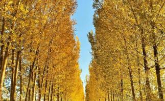 重庆出发汉中赏秋4日自驾游：【大秦知秋】汉中高江路-褒斜古道穿越秦岭4日自驾游-推荐