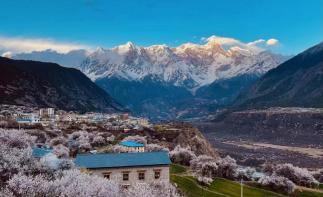 林芝桃花节西藏15日自驾游：[藏域桃花]川进青出-波密桃花沟-来古冰川-然乌湖-布达拉宫15日游-推荐