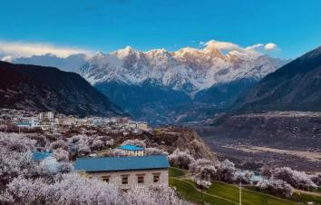 林芝桃花节西藏15日自驾游：[藏域桃花]川进青出-波密桃花沟-来古冰川-然乌湖-布达拉宫15日游-游推荐