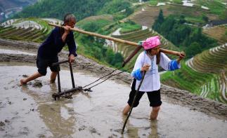 广东珠三角出发广西3日自驾游：桂林龙脊梯田梳秧节少数民族风情-阳朔西街-世外桃源3日自驾游-推荐