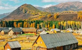 乌鲁木齐集合金秋阿勒泰9日自驾游：[阿勒泰之秋]可可托海-喀纳斯-禾木-白哈巴-魔鬼城9日落地自驾-推荐