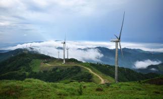 广东出发广西桂东贵港4日自驾游：小众路线人少景美、逃离都市，广西龙潭公园-大容山休闲度假4天之旅-推荐
