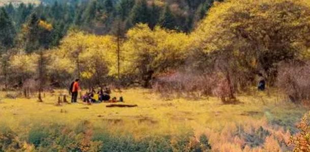 【白马王朗】川北绵阳3日自驾游：彩林长廊•白马王朗•白马古寨•天母湖•药丛山观景台3日自驾-大自驾网