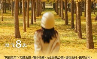 【秘境滇西】探古村看无量樱花·腾冲银杏双飞8天落地自驾|拼车|私家团-推荐