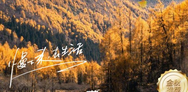 【童话阿坝】川西80里彩林公路-九寨沟-黄龙-羊茸哈德-理小路-四姑娘山四川阿坝州6日自驾游-大自驾网