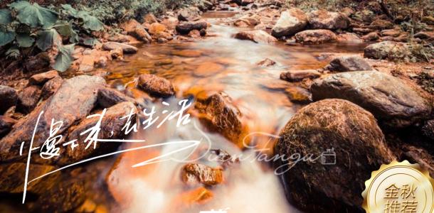 【秦巴秋色】穿越秦岭-千年银杏树-太洋公路-光雾山十八月潭-米仓山-阆中古城6日川东赏秋看红叶自驾游-大自驾网