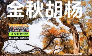 【金秋胡杨】河西走廊-嘉峪关-金塔胡杨-额济纳额-西北甘肃宁夏8日自驾-推荐