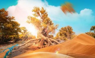 【南疆金秋之旅】喀什古城，帕米尔高原，沙漠公路，塔里木胡杨林11日自驾游-推荐