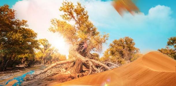 【南疆金秋之旅】喀什古城，帕米尔高原，沙漠公路，塔里木胡杨林11日自驾游-大自驾网