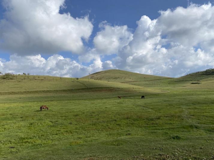 昭通大山包图片
