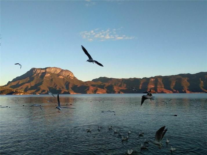 宁蒗格姆女神山图片