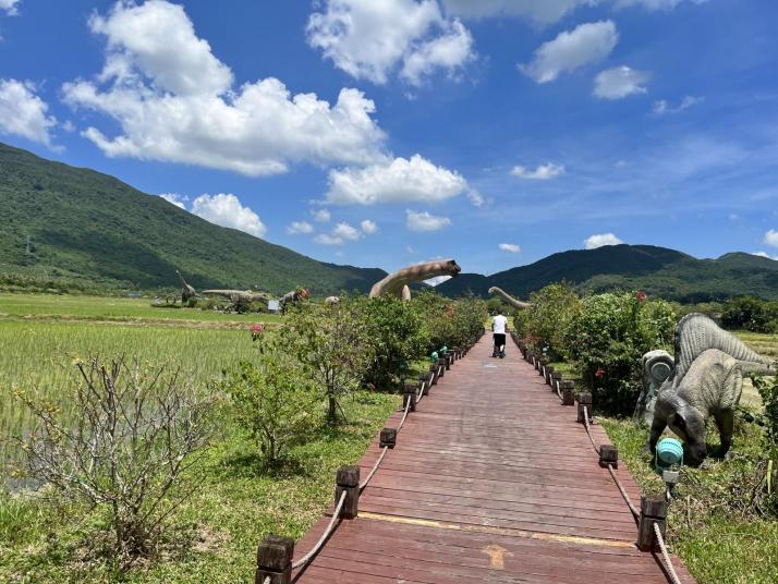 陵水呆呆岛图片